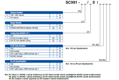 ORDEL SC991-00/00/1100 Standart Kontrol Cihazı