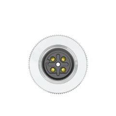 Velledq M12 D Code 5 Pin Dişi Düz Konnektör M12DF05T