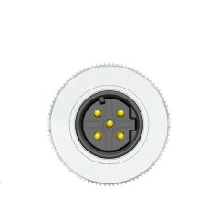 Velledq M12 D Code 5 Pin Erkek Düz Konnektör M12DM05T